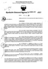 Vista preliminar de documento RDR 0132-2025