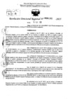 Vista preliminar de documento RDR 0133-2025