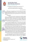 Vista preliminar de documento RGM 96