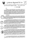 Vista preliminar de documento rer-044-2025-gore-ica-gr