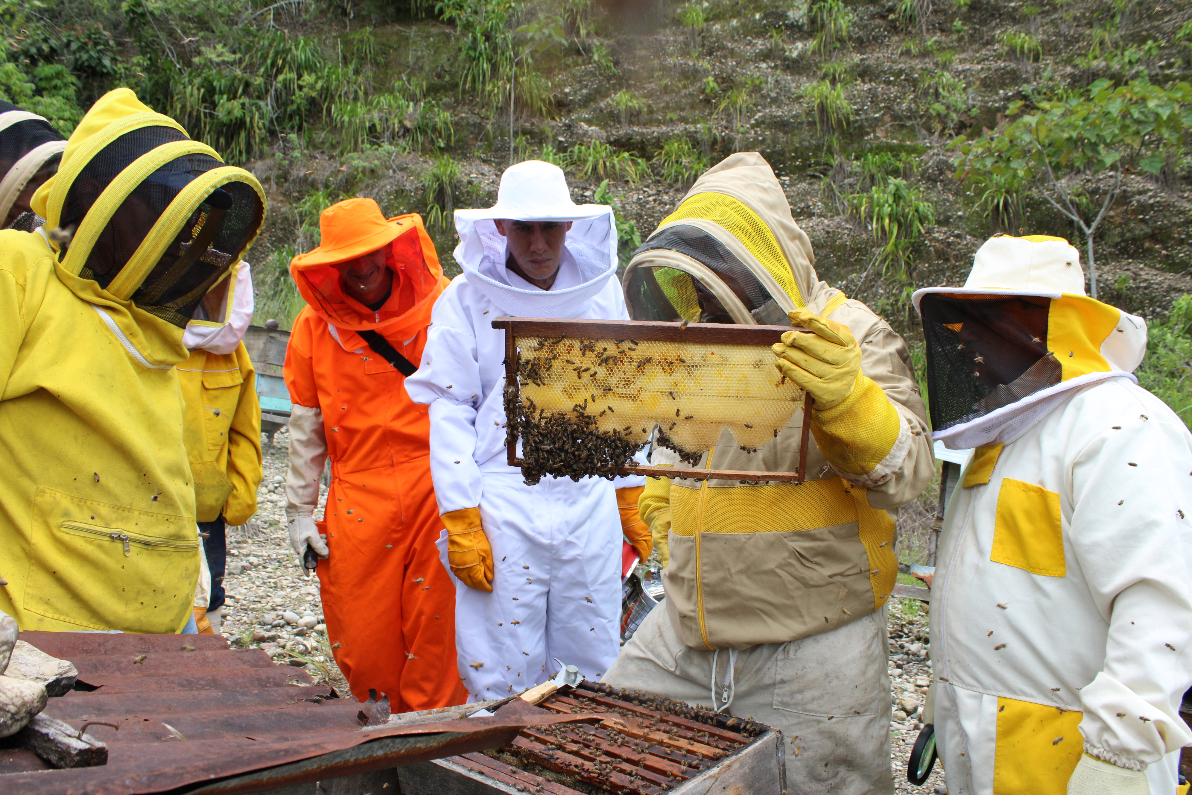 Apicultores aprendiendo técnicas junto al especialista en manejo apícola.