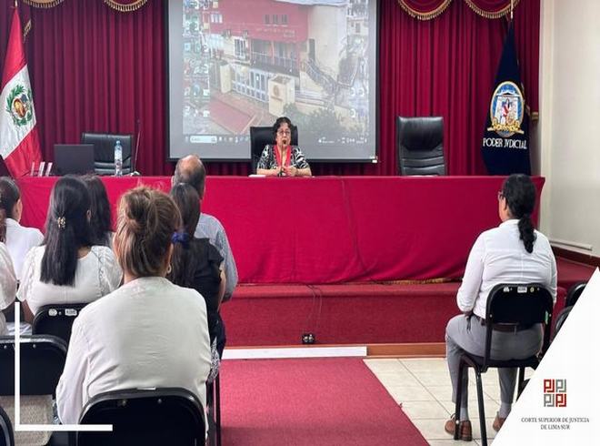 Corte Superior de Justicia de Lima Sur realizó exitosa jornada de inducción laboral para jueces