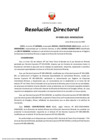 Vista preliminar de documento RD 009-2025-MINEM-DGM