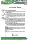 Vista preliminar de documento Responsable de portal de transparencia