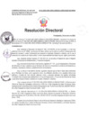 Vista preliminar de documento R.D. 41-2025 