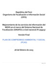 Vista preliminar de documento PCAS ES