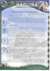 Vista preliminar de documento R.G N 06