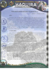 Vista preliminar de documento R.G N 08