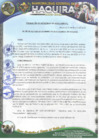 Vista preliminar de documento R.G N 09