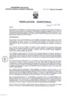 Vista preliminar de documento 020-COMITE OPERATIVO DEL DENGUE