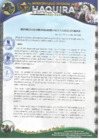 Vista preliminar de documento R.G N 11