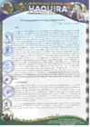 Vista preliminar de documento R.G N 13