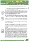 Vista preliminar de documento RADMIN 033 2025