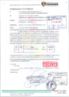 Vista preliminar de documento informe n 418-2025-GIDUyR-MPO