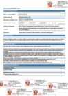 Vista preliminar de documento Perfil_Profesional apoyo SAEI