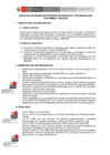 Vista preliminar de documento BASES