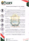Vista preliminar de documento RESOLUCIÓN DE GERENCIA MUNICIPAL N° 17-2025-MDP/GM