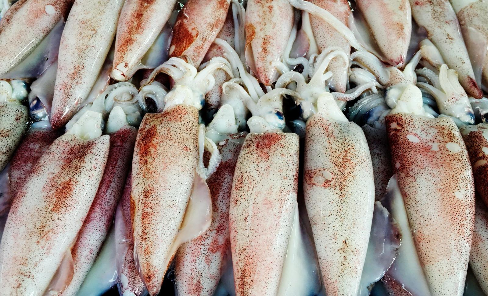 PRODUCE