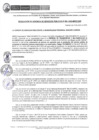 Vista preliminar de documento RGSP083-2025