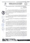 Vista preliminar de documento RDS N 134 AJ