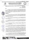Vista preliminar de documento RDS N 133 AJ
