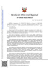Vista preliminar de documento RDR 0430-2025-DRELM-I