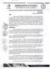 Vista preliminar de documento RDS N 131 AJ