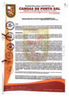 Vista preliminar de documento RESOLUCION DE ALCALDIA N° 035-01-2023-MDCPS-ALC