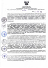 Vista preliminar de documento RDR N°178-2025-07-03-2025