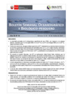 Vista preliminar de documento BS OBP N°10 2025