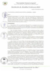 Vista preliminar de documento RA_068_2025_MDI