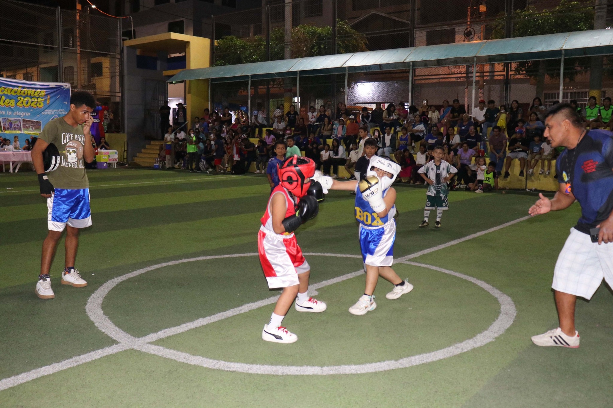 Exhibición de box