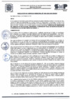 Vista preliminar de documento R.G.M N° 038-2025-GM-MDSMP