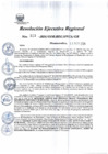 Vista preliminar de documento Resolución Ejecutiva Regional