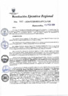 Vista preliminar de documento Resolución Ejecutiva Regional