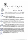 Vista preliminar de documento Resolución Ejecutiva Regional
