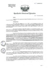 Vista preliminar de documento R.D.E. Nº028-2025-HNAL-OEA