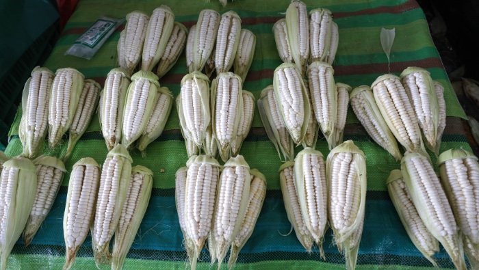MIDAGRI