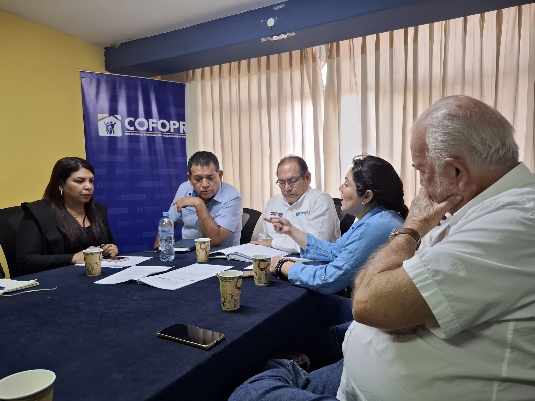 Registro 1: COFOPRI