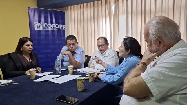 Registro 1: COFOPRI