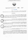 Vista preliminar de documento RD N° 262-2025