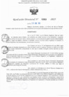 Vista preliminar de documento RD N° 263-2025