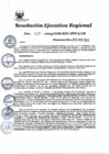 Vista preliminar de documento Resolución Ejecutiva Regional