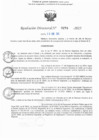 Vista preliminar de documento RD N° 274-2025