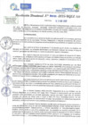 Vista preliminar de documento RD N 00093
