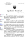 Vista preliminar de documento RD 055 2025 DG HEJCU