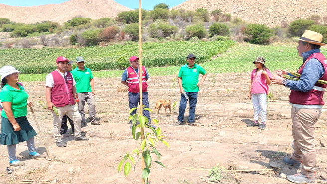 Municipalidad supervisa avances de la ejecución del plan de negocio de la asociación de agricultores Santiago Antúnez de Mayolo - Ex Hacienda Huamba