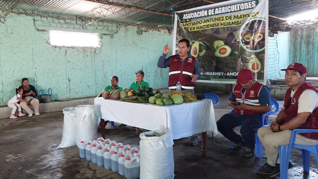 Municipalidad supervisa avances de la ejecución del plan de negocio de la asociación de agricultores Santiago Antúnez de Mayolo - Ex Hacienda Huamba