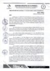 Vista preliminar de documento RDS N 117 AJ