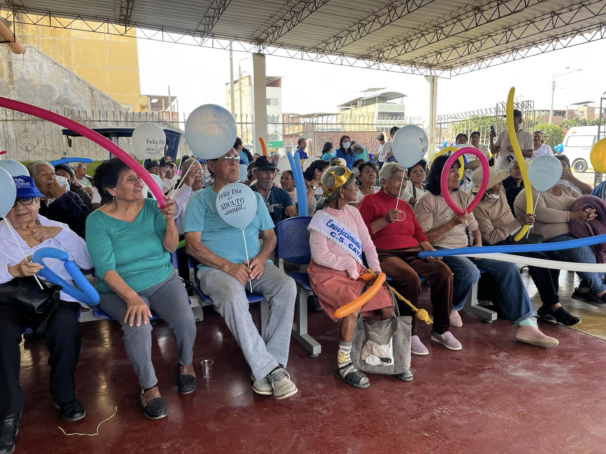 Registro 2: Adulto Mayor